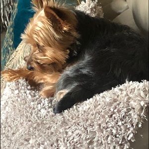 Meet your Posher, Sherry